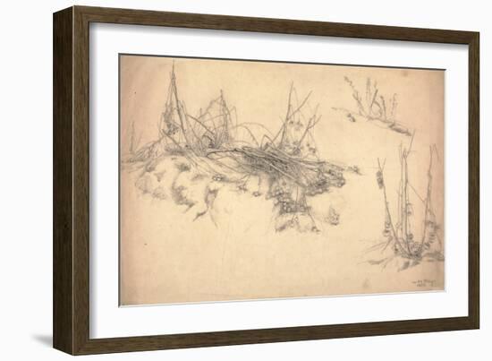 Study of a Thistle, March 24, 1855 (Graphite on Paper)-German School-Framed Giclee Print