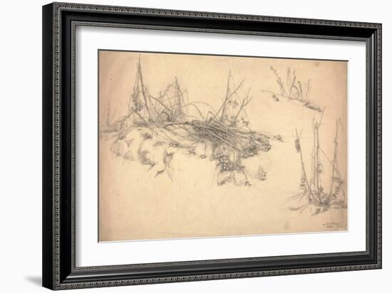 Study of a Thistle, March 24, 1855 (Graphite on Paper)-German School-Framed Giclee Print