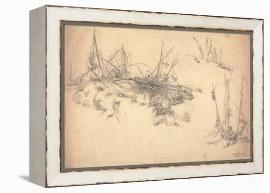 Study of a Thistle, March 24, 1855 (Graphite on Paper)-German School-Framed Premier Image Canvas