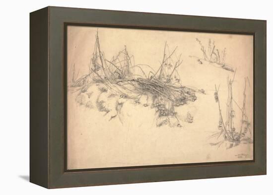 Study of a Thistle, March 24, 1855 (Graphite on Paper)-German School-Framed Premier Image Canvas