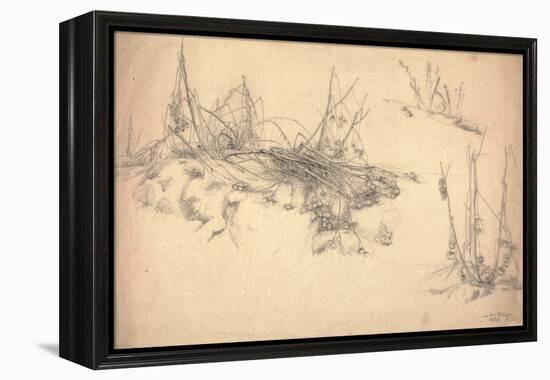 Study of a Thistle, March 24, 1855 (Graphite on Paper)-German School-Framed Premier Image Canvas