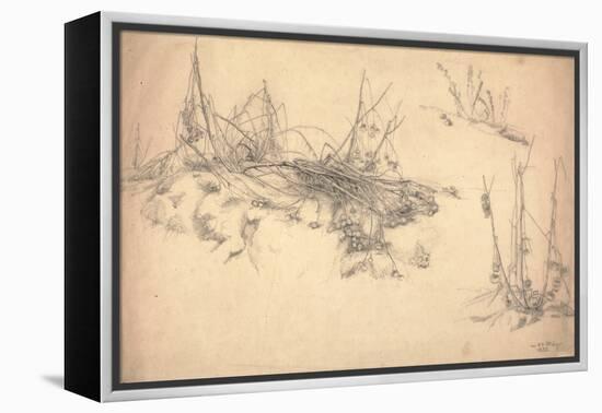 Study of a Thistle, March 24, 1855 (Graphite on Paper)-German School-Framed Premier Image Canvas