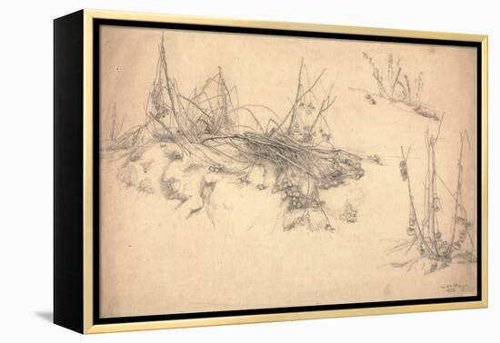 Study of a Thistle, March 24, 1855 (Graphite on Paper)-German School-Framed Premier Image Canvas