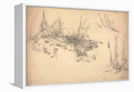 Study of a Thistle, March 24, 1855 (Graphite on Paper)-German School-Framed Premier Image Canvas