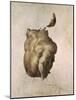 Study of a Torso for the Raft of the Medusa, 1818-Théodore Géricault-Mounted Giclee Print