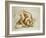 Study of a Winged Monster, C.1525-Michelangelo Buonarroti-Framed Giclee Print