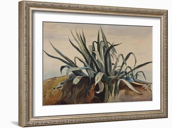 Study of an Agave, with Additions by a Borbone Pupil-Giacinto Gigante-Framed Giclee Print