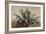 Study of an Agave, with Additions by a Borbone Pupil-Giacinto Gigante-Framed Giclee Print