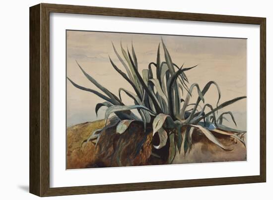 Study of an Agave, with Additions by a Borbone Pupil-Giacinto Gigante-Framed Giclee Print