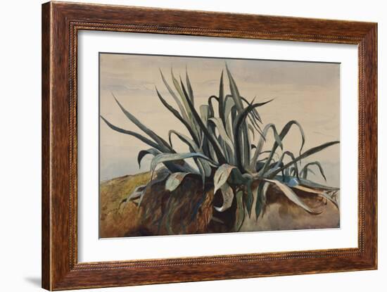Study of an Agave, with Additions by a Borbone Pupil-Giacinto Gigante-Framed Giclee Print