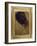 Study of an Old Man's Head for 'Jesus Among the Doctors'-Jean-Auguste-Dominique Ingres-Framed Giclee Print