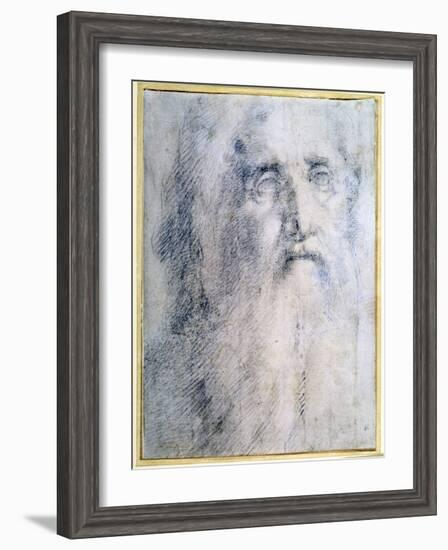 'Study of an old Man's head with a beard', c1535-Domenico Beccafumi-Framed Giclee Print