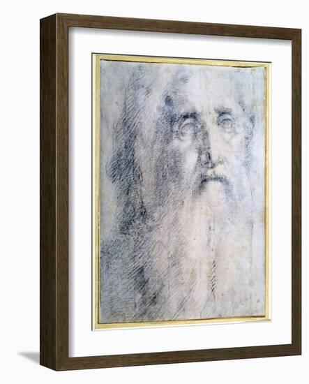 'Study of an old Man's head with a beard', c1535-Domenico Beccafumi-Framed Giclee Print