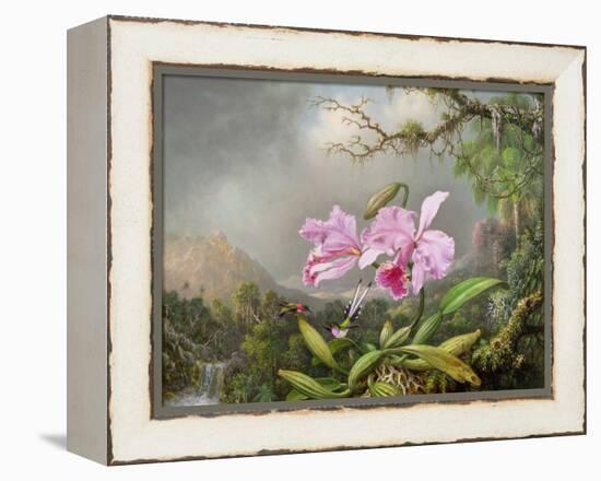 Study of an Orchid, 1872-Martin Johnson Heade-Framed Premier Image Canvas