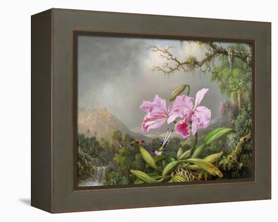 Study of an Orchid, 1872-Martin Johnson Heade-Framed Premier Image Canvas