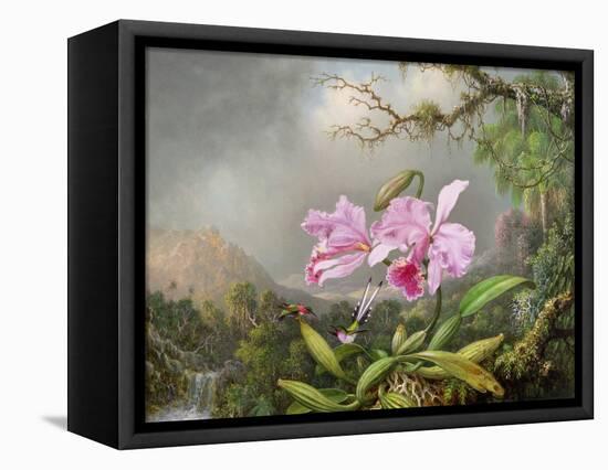Study of an Orchid, 1872-Martin Johnson Heade-Framed Premier Image Canvas
