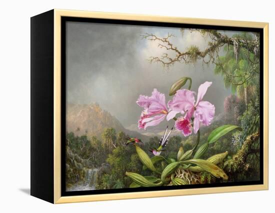 Study of an Orchid, 1872-Martin Johnson Heade-Framed Premier Image Canvas