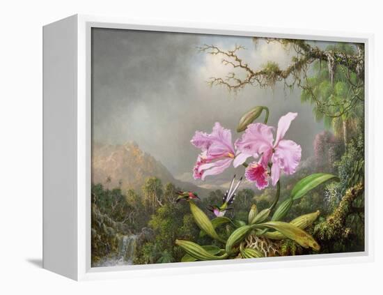 Study of an Orchid, 1872-Martin Johnson Heade-Framed Premier Image Canvas