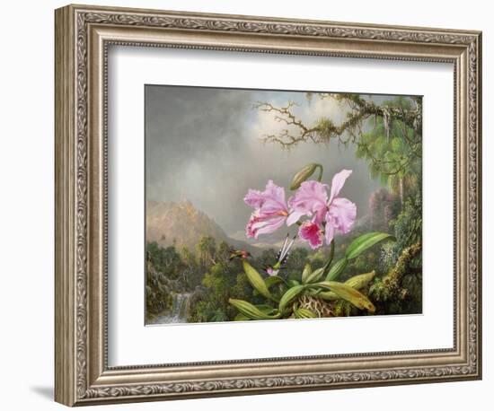 Study of an Orchid, 1872-Martin Johnson Heade-Framed Giclee Print