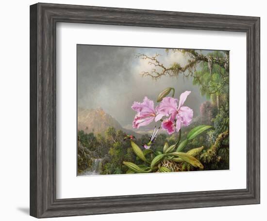 Study of an Orchid, 1872-Martin Johnson Heade-Framed Giclee Print