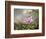 Study of an Orchid, 1872-Martin Johnson Heade-Framed Giclee Print