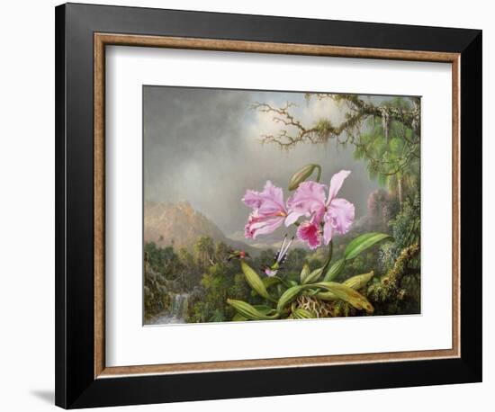 Study of an Orchid, 1872-Martin Johnson Heade-Framed Giclee Print