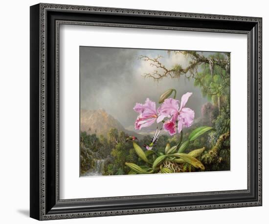 Study of an Orchid, 1872-Martin Johnson Heade-Framed Giclee Print