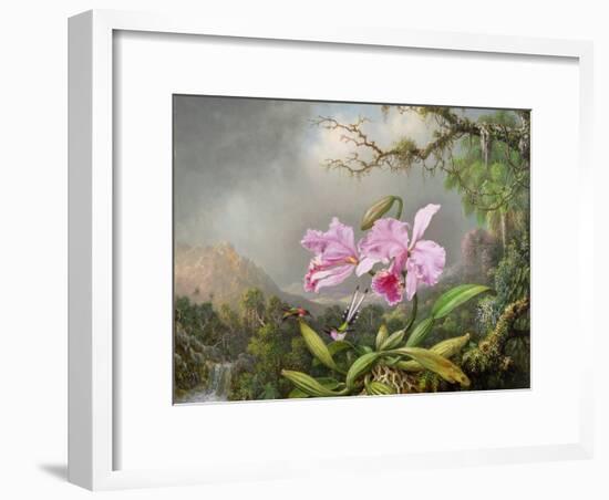 Study of an Orchid, 1872-Martin Johnson Heade-Framed Giclee Print