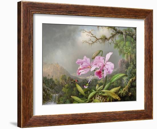 Study of an Orchid, 1872-Martin Johnson Heade-Framed Giclee Print