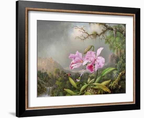 Study of an Orchid, 1872-Martin Johnson Heade-Framed Giclee Print