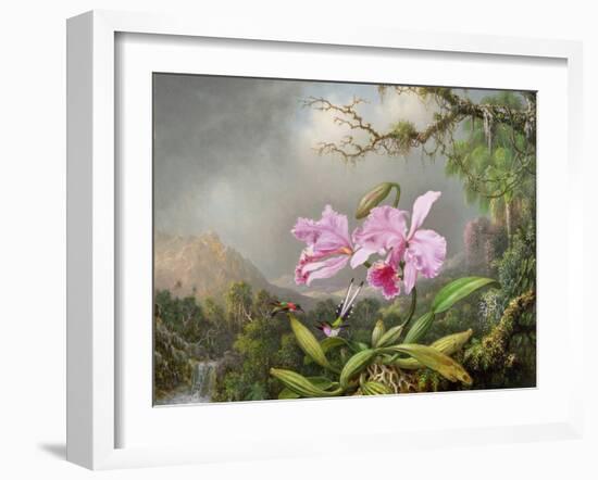 Study of an Orchid, 1872-Martin Johnson Heade-Framed Giclee Print