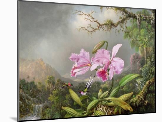 Study of an Orchid, 1872-Martin Johnson Heade-Mounted Giclee Print
