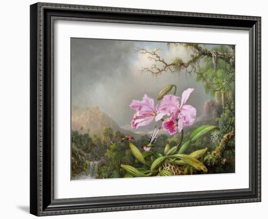 Study of an Orchid, 1872-Martin Johnson Heade-Framed Giclee Print