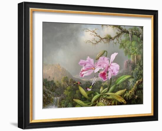 Study of an Orchid, 1872-Martin Johnson Heade-Framed Giclee Print