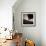 Study of Architecture and Shadows-Edoardo Pasero-Framed Photographic Print displayed on a wall