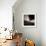 Study of Architecture and Shadows-Edoardo Pasero-Framed Photographic Print displayed on a wall