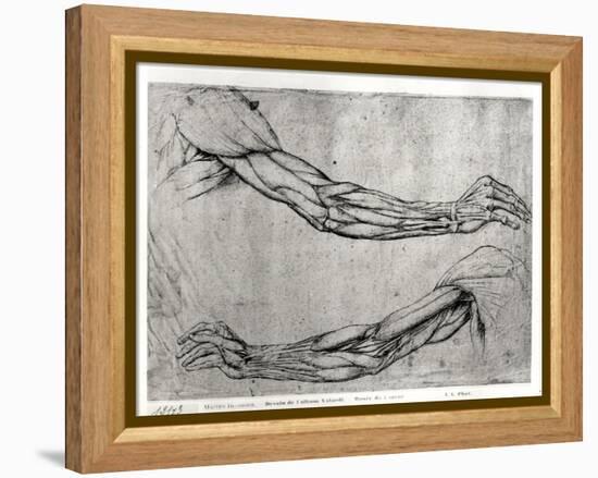 Study of Arms-Leonardo da Vinci-Framed Premier Image Canvas