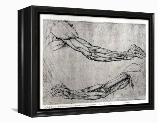 Study of Arms-Leonardo da Vinci-Framed Premier Image Canvas