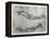 Study of Arms-Leonardo da Vinci-Framed Premier Image Canvas