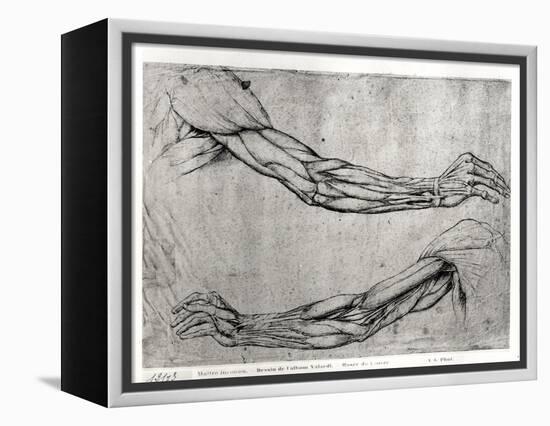 Study of Arms-Leonardo da Vinci-Framed Premier Image Canvas