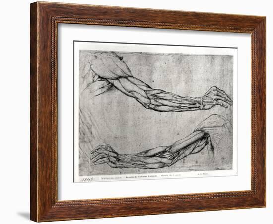 Study of Arms-Leonardo da Vinci-Framed Giclee Print