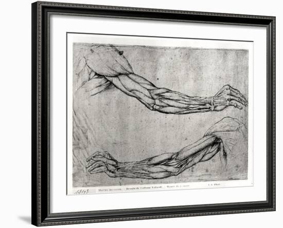 Study of Arms-Leonardo da Vinci-Framed Giclee Print