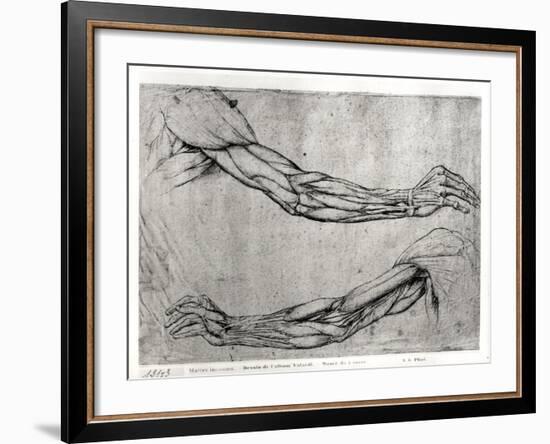 Study of Arms-Leonardo da Vinci-Framed Giclee Print