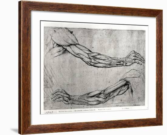 Study of Arms-Leonardo da Vinci-Framed Giclee Print