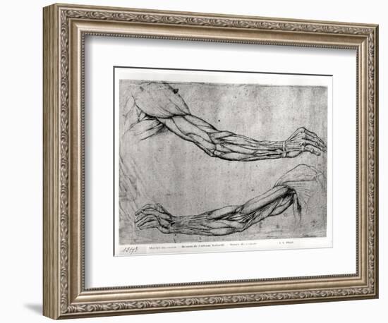 Study of Arms-Leonardo da Vinci-Framed Giclee Print