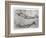 Study of Arms-Leonardo da Vinci-Framed Giclee Print