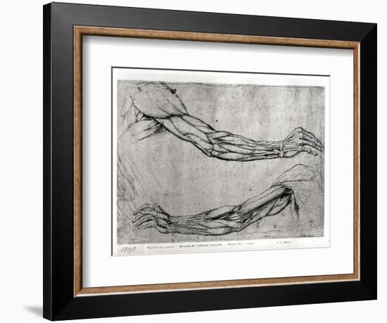 Study of Arms-Leonardo da Vinci-Framed Giclee Print