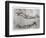 Study of Arms-Leonardo da Vinci-Framed Giclee Print