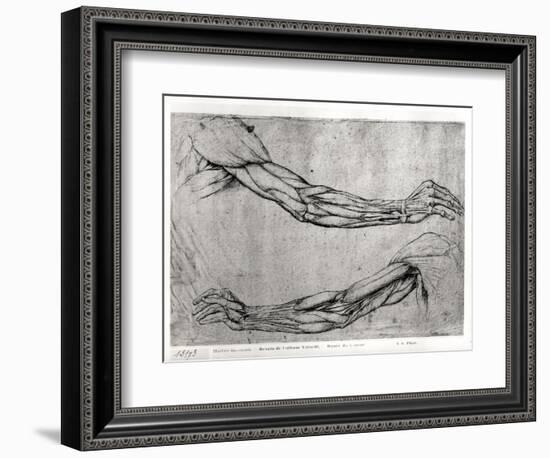 Study of Arms-Leonardo da Vinci-Framed Giclee Print