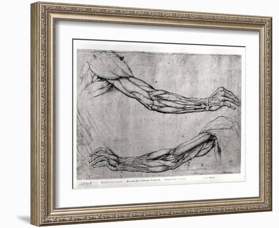 Study of Arms-Leonardo da Vinci-Framed Giclee Print